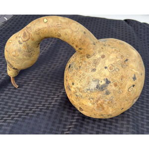 Dry Gourd For Crafting or Halloween Fall Decorating Looks Like Duck Swan Goose